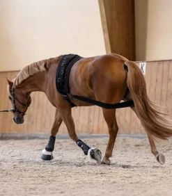 Waldhausen Trenings Elastikk< Longering
