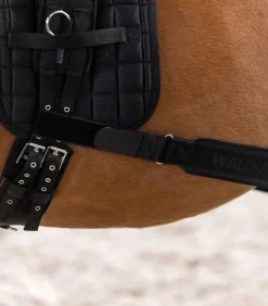 Waldhausen Trenings Elastikk< Longering